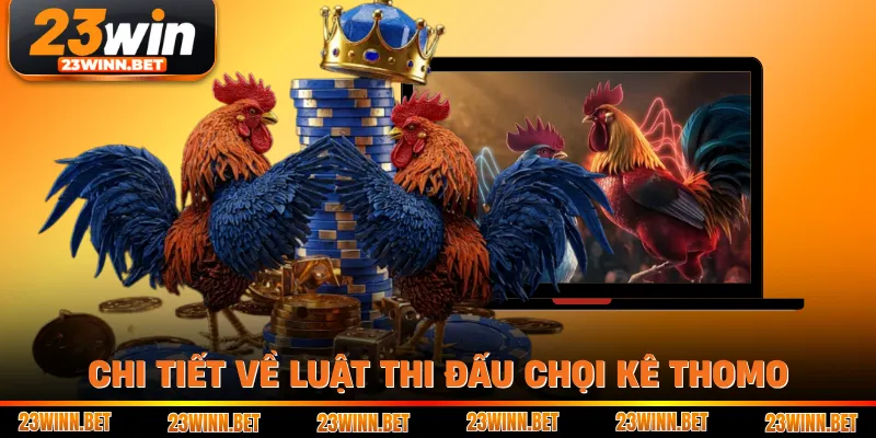 Chi tiết về luật thi đấu chọi kê Thomo