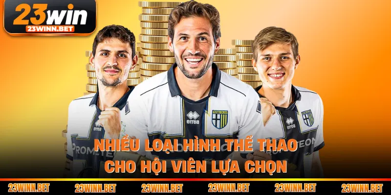 Nhiều loại hình thể thao cho hội viên lựa chọn